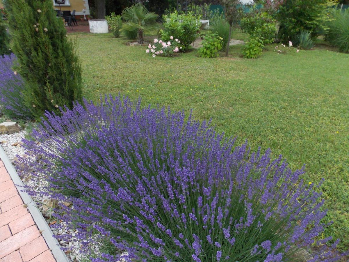 Eden Villa Apartmanhaz Balatonfured Bagian luar foto